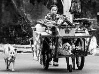 2015-04-10-3526 web 240 Thailand Ayuttaya